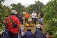 Berbasis OVOV, 1000 Kampung Hortikultura Fokus pada Ekonomi Skala Luas