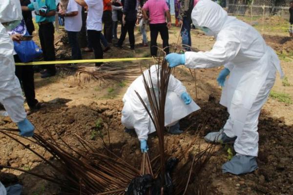 Ratusan Ekor Babi di NTT Mati Terserang Virus ASF, Jangan Beli Daging di Pinggir Jalan 