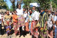 Gubernur NTT Panen Padi Benih di Kupang