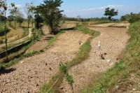 BMKG Ingatkan 11 Daerah di NTT Berstatus Awas Kekeringan