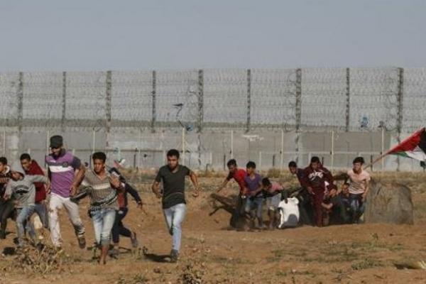 Ini Permintaan Organisasi Internasional Kepada Dunia Untuk Gaza