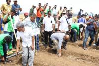 Gubernur NTT Canangkan Tanam Jagung Panen Sapi di Pulau Sumba 