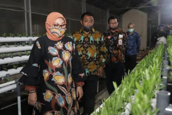 Kabar Gembira, Subsidi Gaji Tahap V Cair Hari Ini