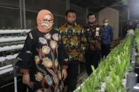 Kabar Gembira, Subsidi Gaji Tahap V Cair Hari Ini