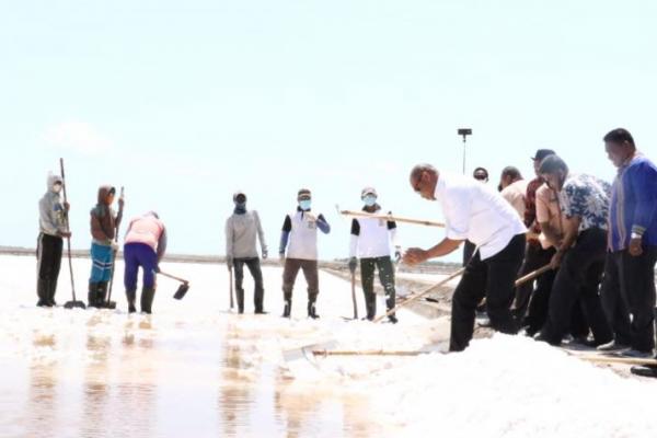 Gubernur Target Produksi Garam NTT Capai 1 Juta Ton