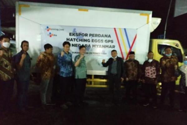 Kementan Apresiasi Ekspor Perdana Telur Tetas ke Myanmar