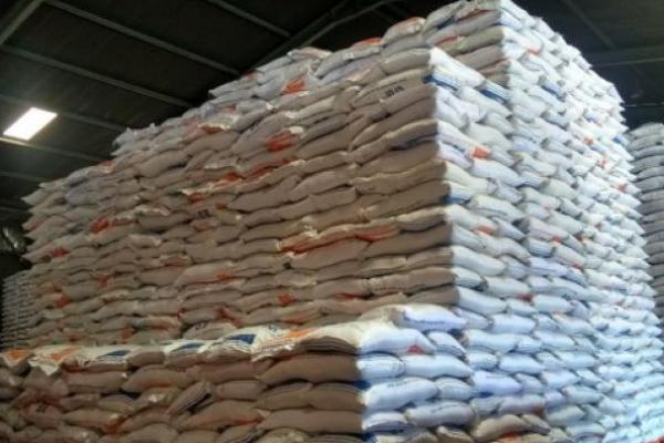  Jangan Takut, Food Station Sudah Siapkan Buffer Stok Beras 10 Ribu Ton