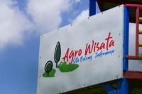 Kementan Dorong Pemulihan Ekonomi dan Kesejahteraan Petani Melalui Agroeduwisata