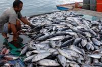 Uni Eropa Jajaki Peluang Investasi dan Bisnis di Maluku dengan Kerangka CEPA
