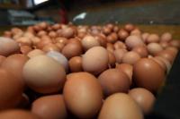 Harga Cabai dan Telur di Pasar Mitra Tani Lebih Murah
