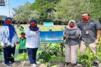 Bank DKI Nanam 5.000 Bibit Mangrove di Pantai Indah Kapuk Seluas 500 m2