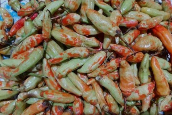 Beredar Cabai Berpewarna di Banyumas, Kementan: Oknum Sudah Diringkus