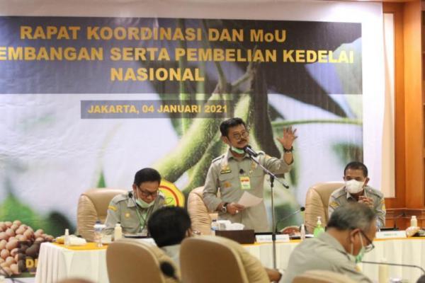 Harga Impor Mahal, Kementan Segera Lipatgandakan Produksi Kedelai Dalam Negeri