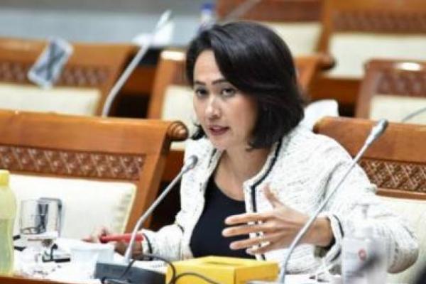 Biden-Haris Dilantik, Christina: Momentum Penguatan Hubungan Indonesia-Amerika