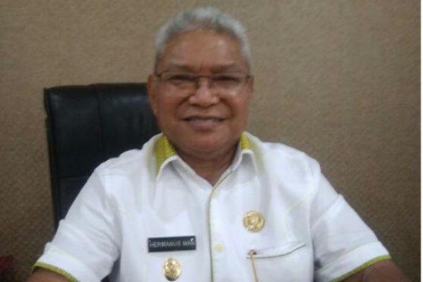 Pemerintah Kota Kupang di tahun 2022 ini berupaya mengembangkan sektor pariwisata berbasis pada lima pilar yakni pariwisata berbasis sejarah, budaya, atraktif, memikat dan berbasis masyarakat. 