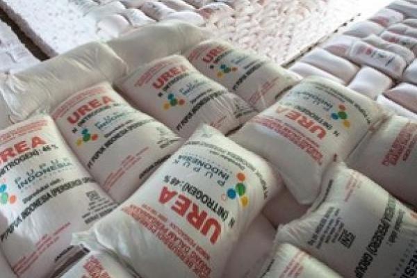 Kabar Baik, Kini Petani Bisa Akses Pupuk Subsidi Tanpa Kartu Tani 