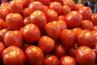 Demi Pendapatan dan Produktivitas Petani, Mentan Siap Berkolaborasi Semua Pihak yang Miliki Visi dan