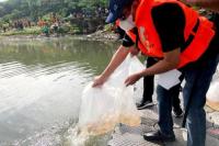 Djarot Saiful Ajak semua Pihak untuk Bantu Anies Atasi Banjir Jakarta