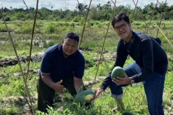 Rektor IPB Arif Satria : Outlook Pertanian 2021 Tetap Menjadi Sektor Lokomotif Ekonomi