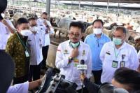 Tiga Agenda Kementan Jaga Ketersediaan Daging Sapi untuk HBKN