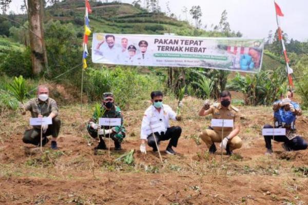 Kurangi Kebergantungan Impor, Kementan Percepat Peningkatan Produksi Susu Nasional