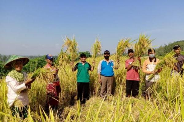 Terkait Tata Kelola Komoditas Pangan Nasional, DPR Tolak Wacana Impor Beras