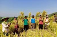 Terkait Tata Kelola Komoditas Pangan Nasional, DPR Tolak Wacana Impor Beras