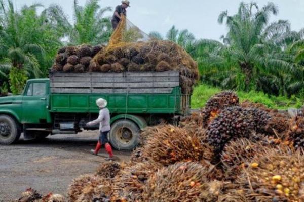 Kemenhub Canangkan Indonesia Bebas Kendaraan ODOL