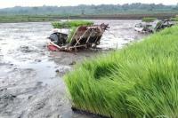 Genjot Potensi Lahan Sawah Tadah Hujan di Blora, Kementan Siapkan Teknologi Khusus