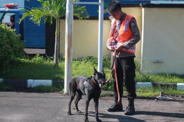 Polri Turunkan 6 Anjing Pelacak Cari Jenasah Korban Bencana