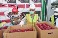 Pastikan Komoditas Pertanian Sehat dan Aman, Kementan Lakukan Tindakan Karantina di Border