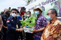 Tumbuh Positif, Sektor Pertanian Semakin Diminati