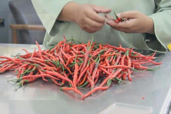 Kementan Pastikan Pasokan Pangan Puasa hingga Lebaran Aman Terkendali