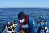 Penjaga Pantai Turki Selamatkan 41 Pencari Suaka di Laut Aegea