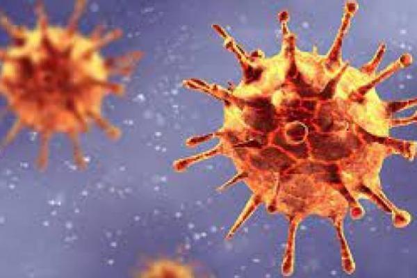 Kasus COVID-19 Eropa Lampaui 50 Juta