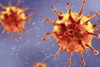 Virus Corona Varian Delta 40 Persen Diklaim Lebih Menular