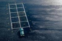 Patut Ditiru, Begini Cara Qatar Hadapi Perubahan Iklim