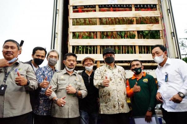 Mentan Bersama Menko Perekonomian Lepas Ekspor Tanaman Hias Senilai Rp 70 Miliar