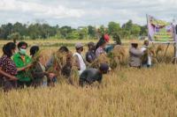Kisah Sukses Bhabinkamtibmas Berdayakan Masyarakat Sampai Panen Hasil Pertanian di Kupang