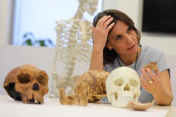 Para peneliti Temukan Jenis Baru Manusia Purba di Israel