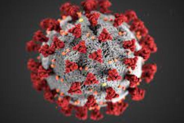 Ilustrasi virus corona, (Shutterstock) 