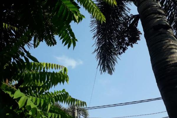 Sebagian Besar Wilayah Indonesia Berawan