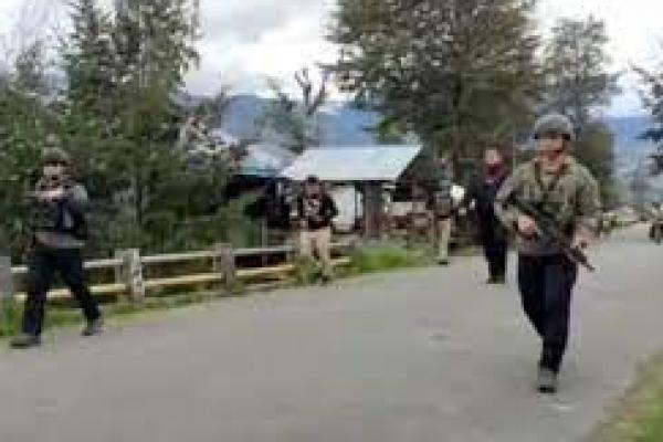 Baku Tembak di Puncak, KKB Klaim Tewaskan 1 Personil TNI