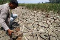 BNPB Ingatkan Nusa Tenggara Bersiap Hadapi Kekeringan