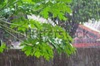 BMKG: Hujan Lebat dan Angin Kencang Berpotensi Terjadi di Sebagian Wilayah Indonesia