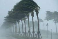 Masuk Musim Hujan, Walhi NTT Minta Masyarakat Waspadai Siklon Tropis