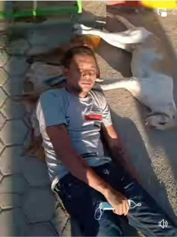 Ketangkap Basah Curi Anjing dengan Racun, Warga Kota Kupang Babak Belur Dihajar Massa