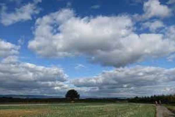 BMKG : Mayoritas Wilayah Indonesia Alami Hujan Ringan 