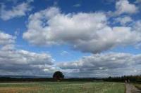 BMKG : Mayoritas Wilayah Indonesia Alami Hujan Ringan 