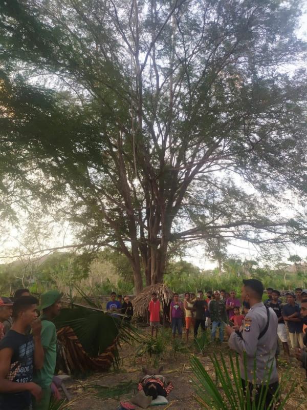 Kecelakaan kerja dialami Noh Nubatonis (58), warga RT 36/RW 16, Desa Pollo, Kecamatan Amanuban Selatan, Kabupaten Timor Tengah Selatan (TTS) yang ditemukan meninggal dunia, Senin (20/9/2021) petang.